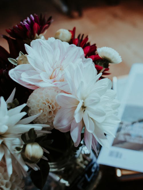 《天凈沙·夏》翻譯賞析