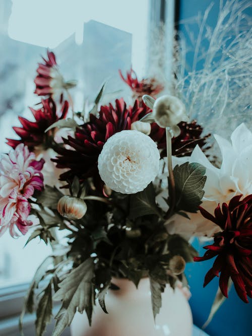 菲雅段毅笙完結(jié)小說菲雅段毅笙無彈窗閱讀