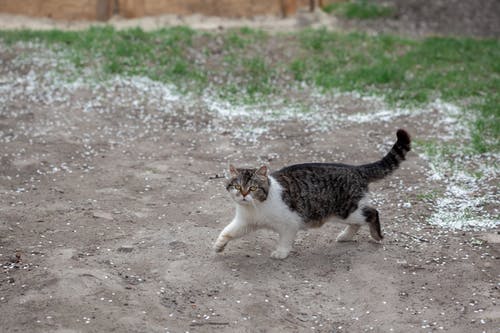 母親節(jié)跟媽媽說的話