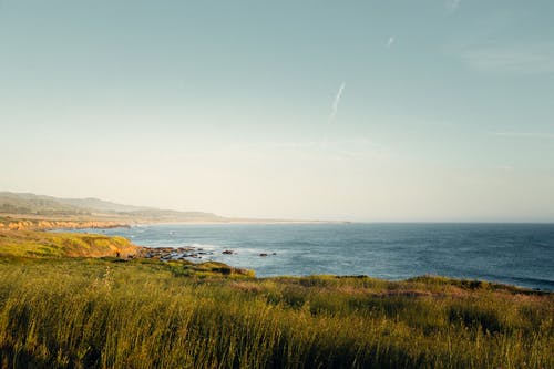 驚弓之鳥教學(xué)隨筆 驚弓之鳥教學(xué)隨筆