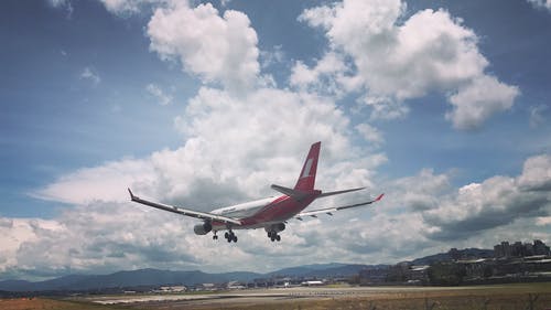 重生四合院從神級選擇開始小說何雨柱秦淮茹章節(jié)閱讀