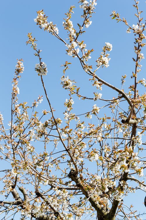 鬼怪陰陽投遞局小說許瑞孫亮無錯版閱讀