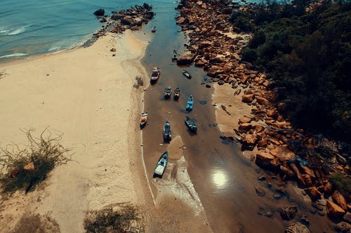 五年級(jí)敘事作文一張萬能支票