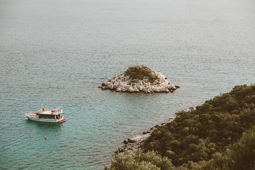 五年級(jí)童話寓言作文草的夢(mèng)想