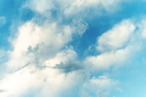 高冷紀(jì)先生太纏人豪門小說紀(jì)辰凌白汐無廣告閱讀