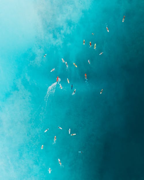 鎮(zhèn)國醫(yī)婿小說爽文洪天白傾城無錯(cuò)版閱讀