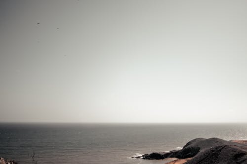 神醫(yī)通鑒連載中杜飛楊柳小說目錄閱讀