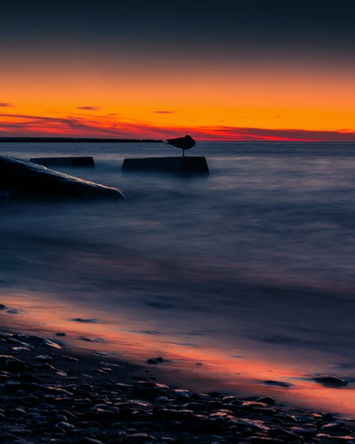 詩歌形式的運動會廣播稿
