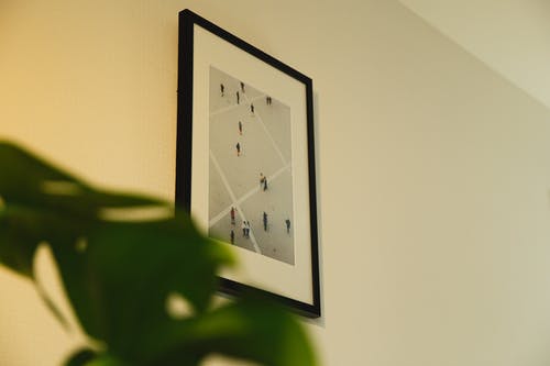 霸氣陸總甜寵妻小說黎洛染陸紹琛溫知語無刪減閱讀