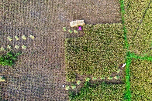 有關(guān)端午節(jié)的朗誦詩(shī)歌