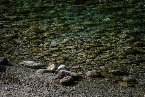 小學(xué)日記 開學(xué)第一周