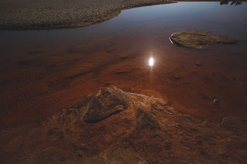 穿成白蓮花未婚妻的貓人氣小說喬語兮黎岳昊無廣告閱讀