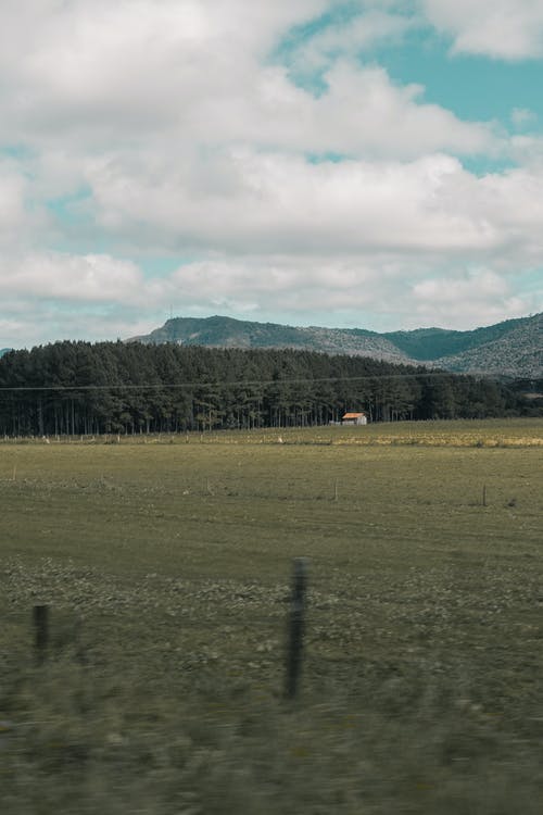 【精華】四年級(jí)日記集錦五篇