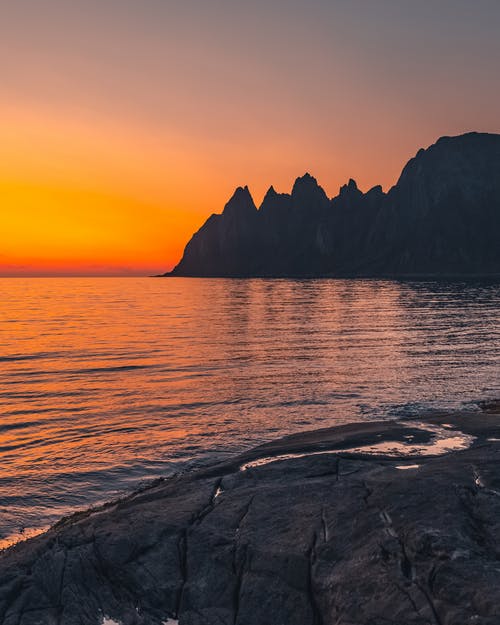 仙人掌觀察日記400字 仙人掌觀察日記400字