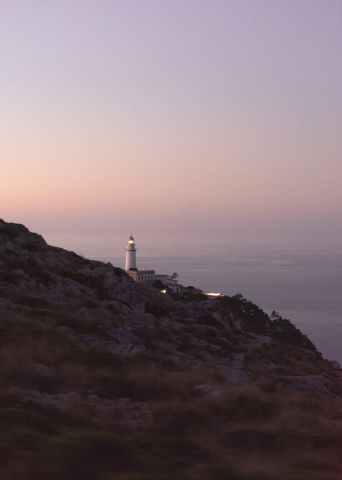 春草明年綠鑒賞及原文注釋