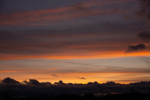 叢林雄兵小說已完結趙無極風子剛子斌子目錄閱讀