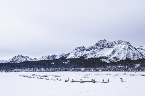 五年級(jí)敘事作文蟲子