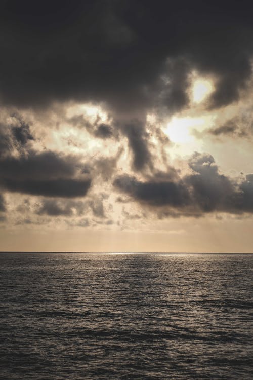 “我愛我的母?！痹姼枥收b比賽策劃書