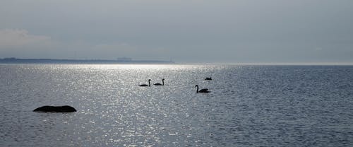 微信祝福語短信大全