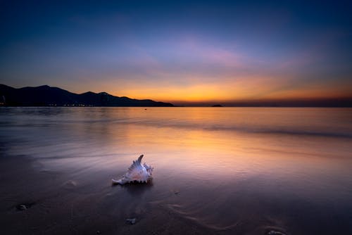 同桌結(jié)婚有什么祝福語(yǔ)