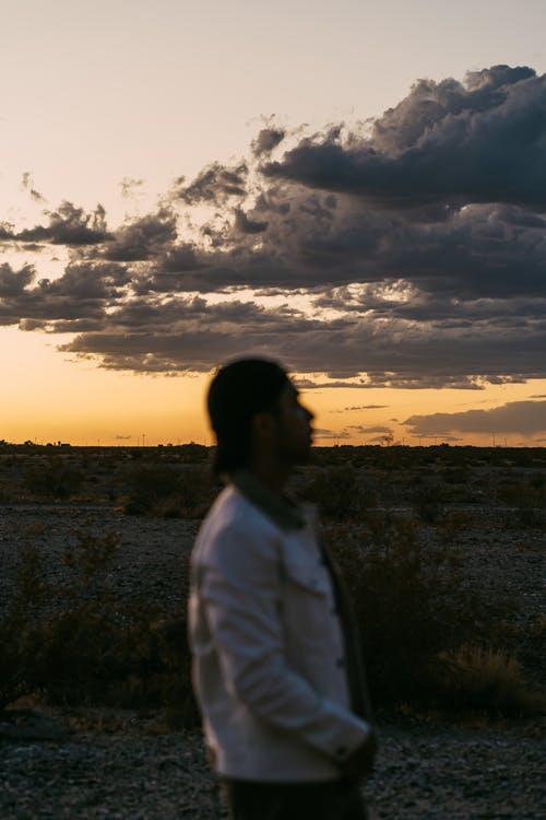 爽文我的貼身保鏢會修仙何安凌雪小說目錄閱讀