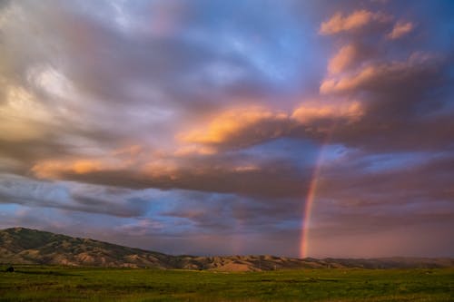 如你所見(jiàn)我無(wú)敵了小說(shuō)主角林江無(wú)彈窗閱讀