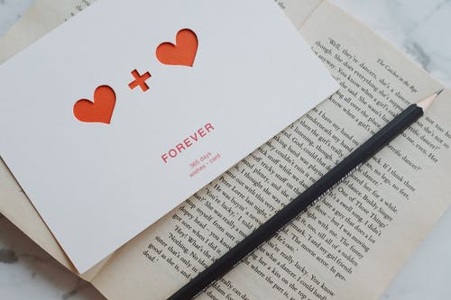 我的戰(zhàn)神老婆小說by小魚林九江淑雅全集閱讀