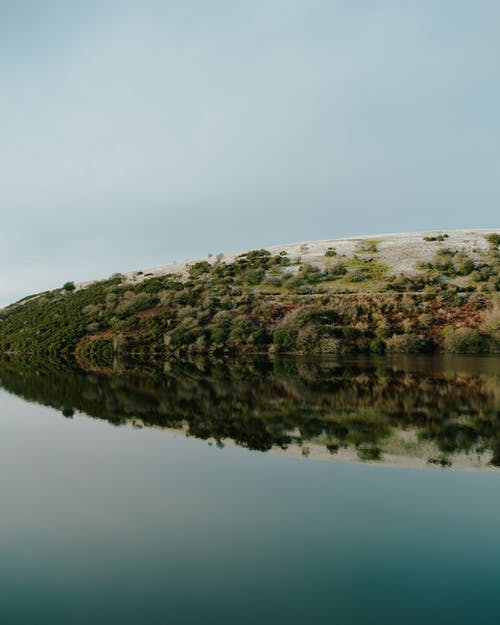 爽文北境王尊小說沈飛揚蘇月目錄閱讀