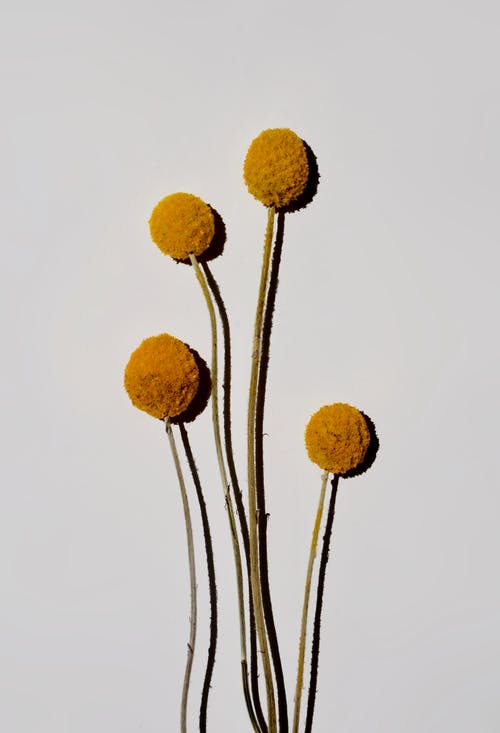 給自己結(jié)婚祝福語