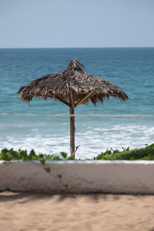 觀《一個(gè)獨(dú)生女的故事》有感