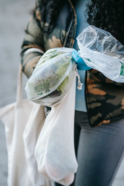 【精選】觀察植物的日記模板集錦8篇