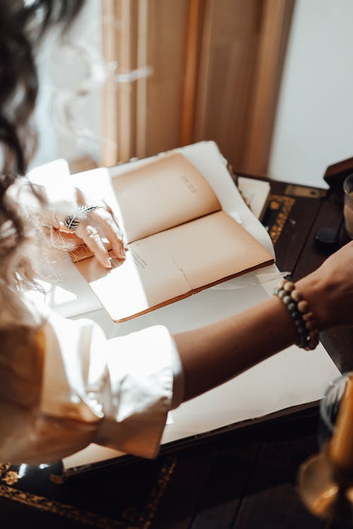 五年級(jí)想象作文薄荷的自述