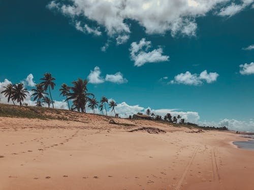 歌頌家鄉(xiāng)變化的詩(shī)歌