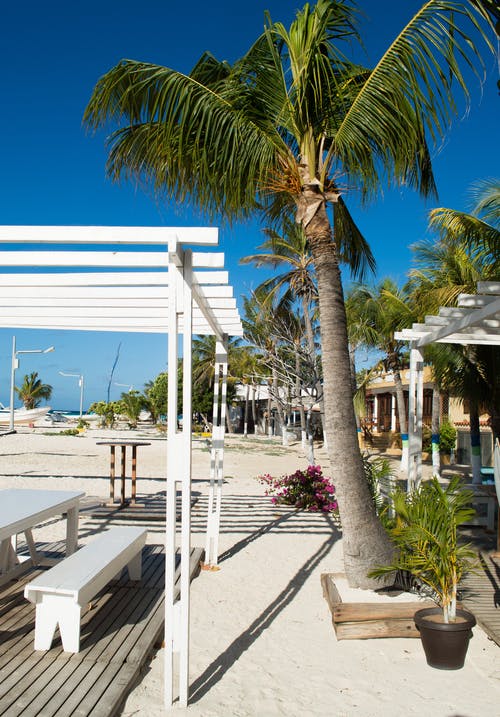 實用的爬山日記范文十篇