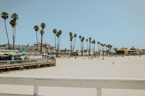 《折桂令 九日》詩(shī)詞賞析 《折桂令 九日》詩(shī)詞賞析