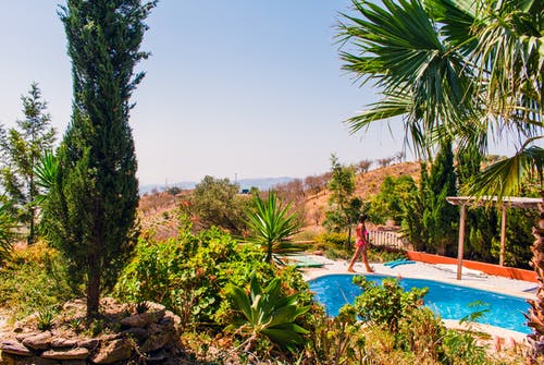 觀《家有兒女》有感