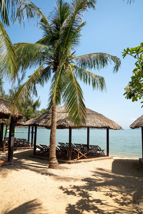 男頻神醫(yī)戰(zhàn)婿小說蕭云趙靈兒全本閱讀