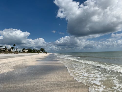 都市戰(zhàn)醫(yī)圣婿小說(shuō)江易蕭詩(shī)音在線閱讀