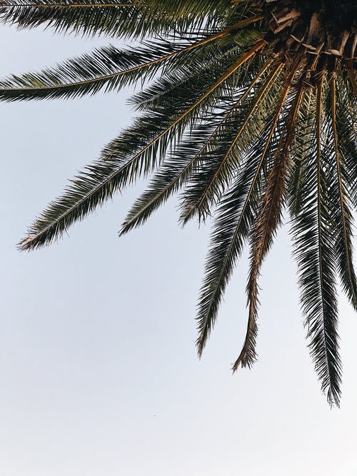 電視劇那片星空那片海經典臺詞 電視劇那片星空那片海經典臺詞