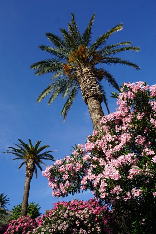 開(kāi)學(xué)了日記300字 開(kāi)學(xué)了日記300字