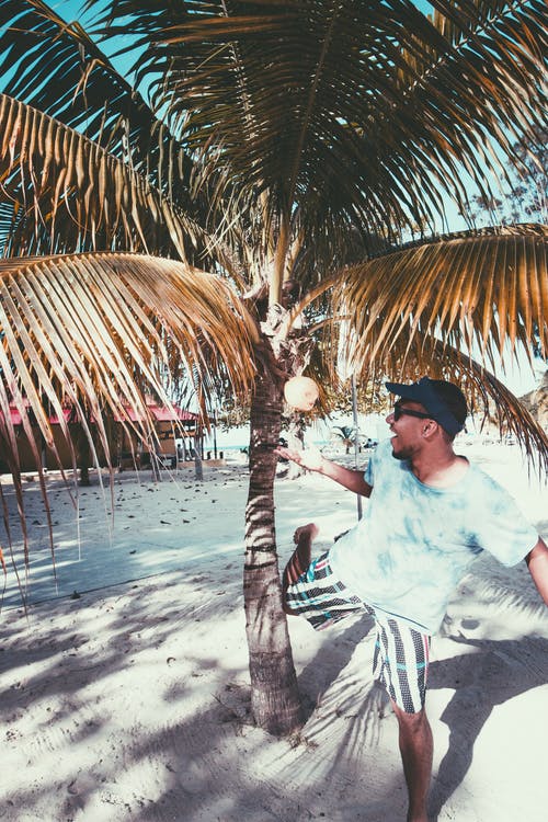 【必備】三年級(jí)日記四篇