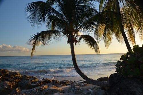 五年級(jí)敘事作文有個(gè)妹妹真麻煩 五年級(jí)敘事作文有個(gè)妹妹真麻煩