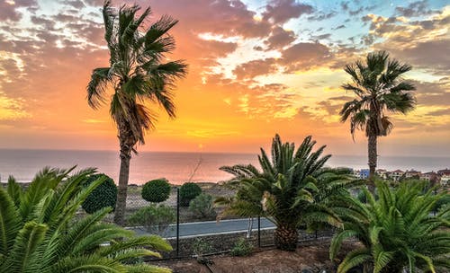 8英里經(jīng)典中英臺詞