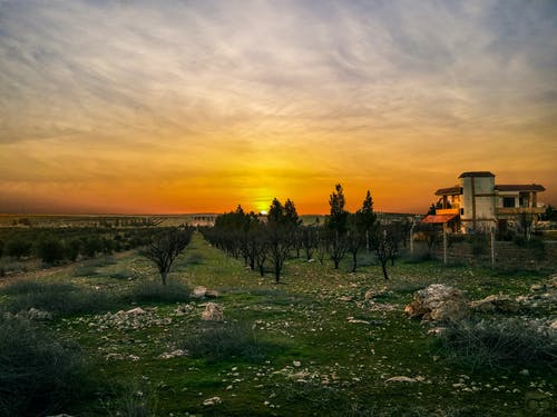 朝天子詠喇叭優(yōu)質(zhì)課