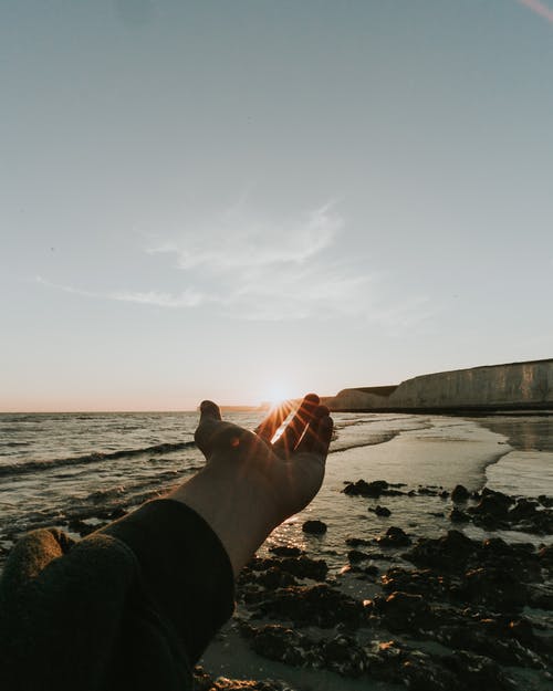 春天日記范文合集五篇