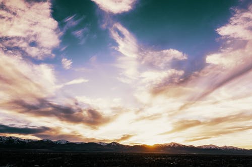 偷心保鏢小說連載中林舒白千尋章節(jié)閱讀