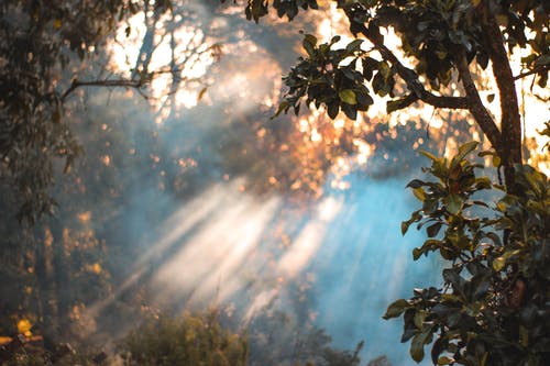 實用的四年級日記三篇