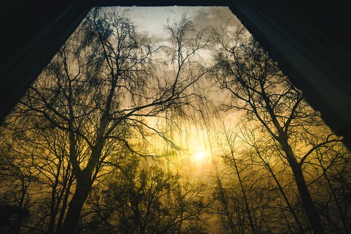 熱推頂級巨星簽到系統(tǒng)小說周行蘇欣欣全文閱讀