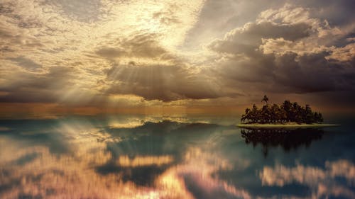 關于開學上課日記350字