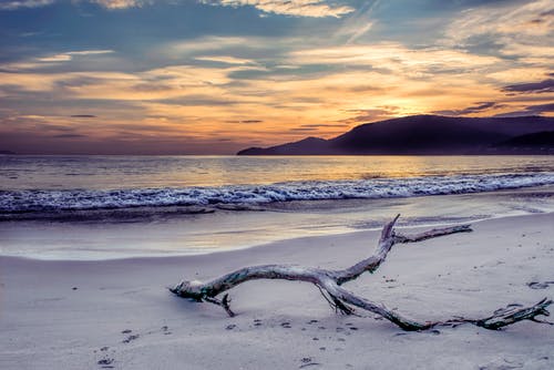 【實(shí)用】三年級日記4篇